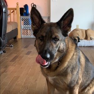 Meet your Posher, Joseph